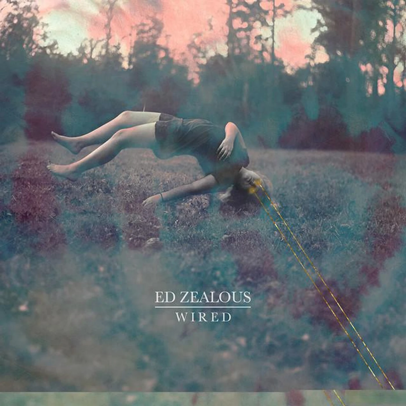 Ed Zealous Brand Page