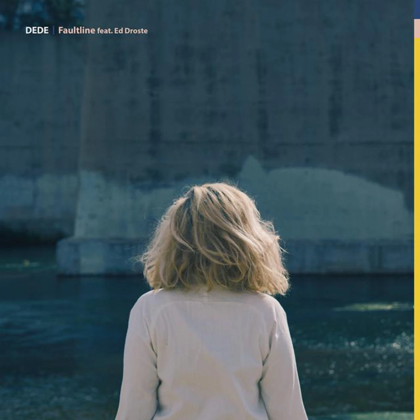 Ed Droste Brand Page