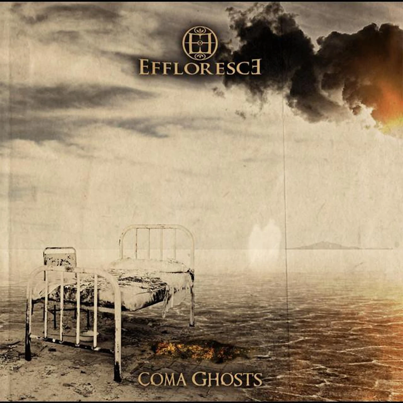 Effloresce Brand Page
