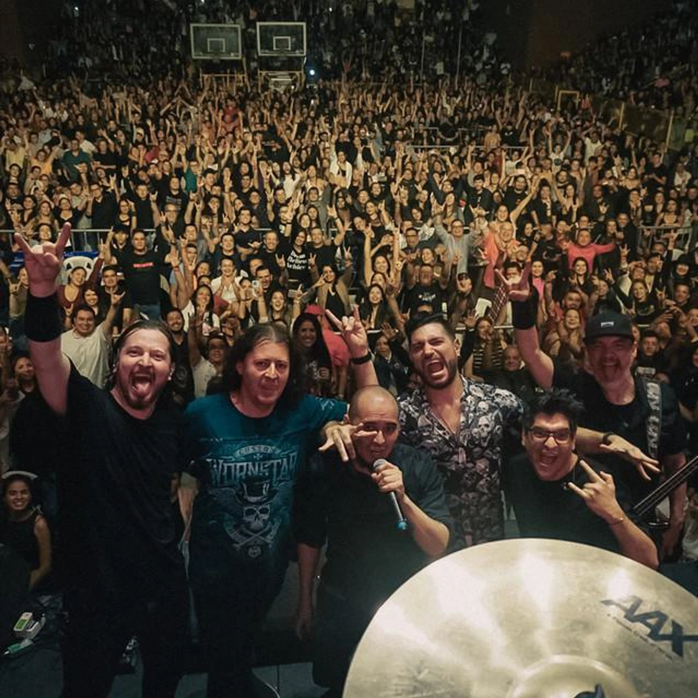 Ekhymosis Brand Page