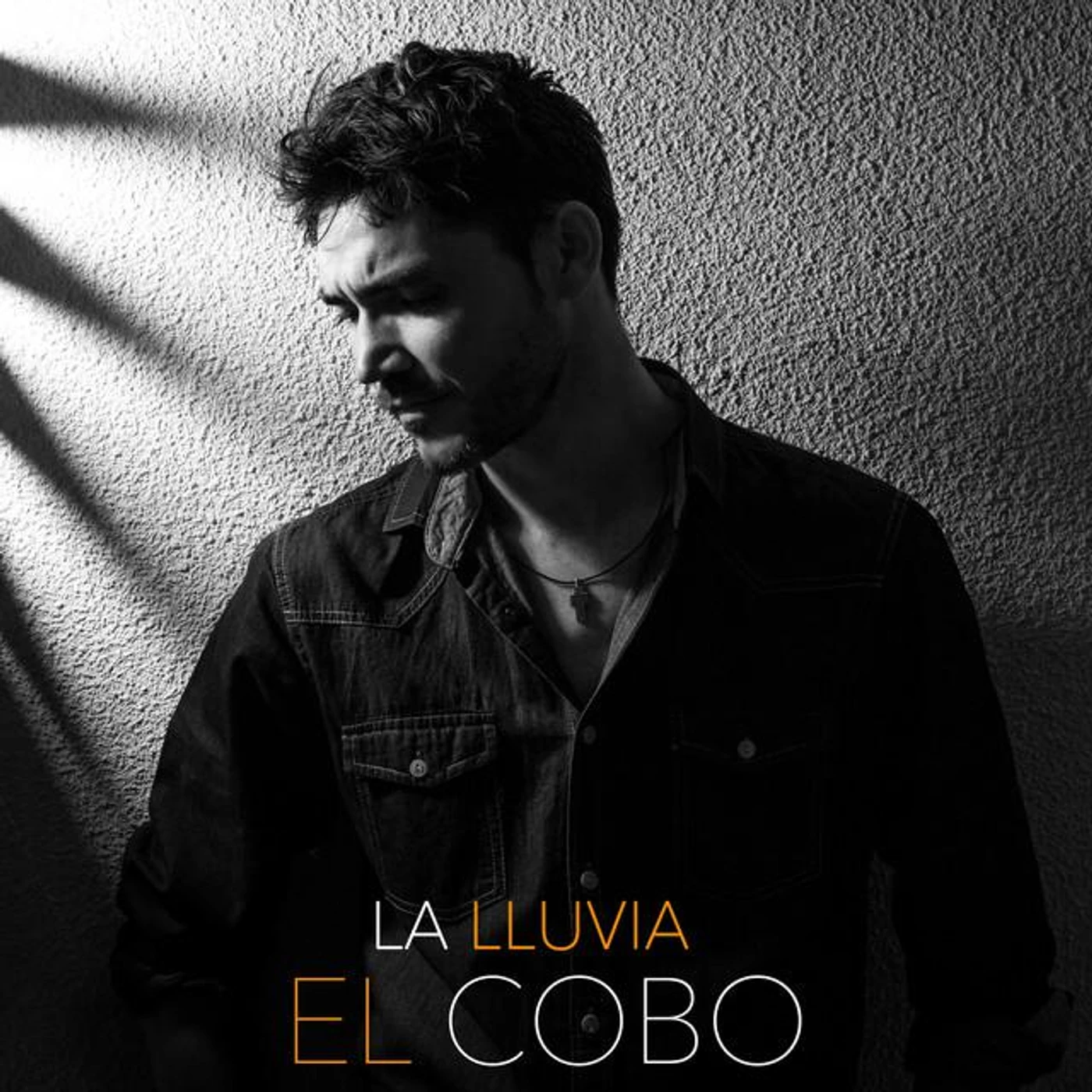 El Cobo