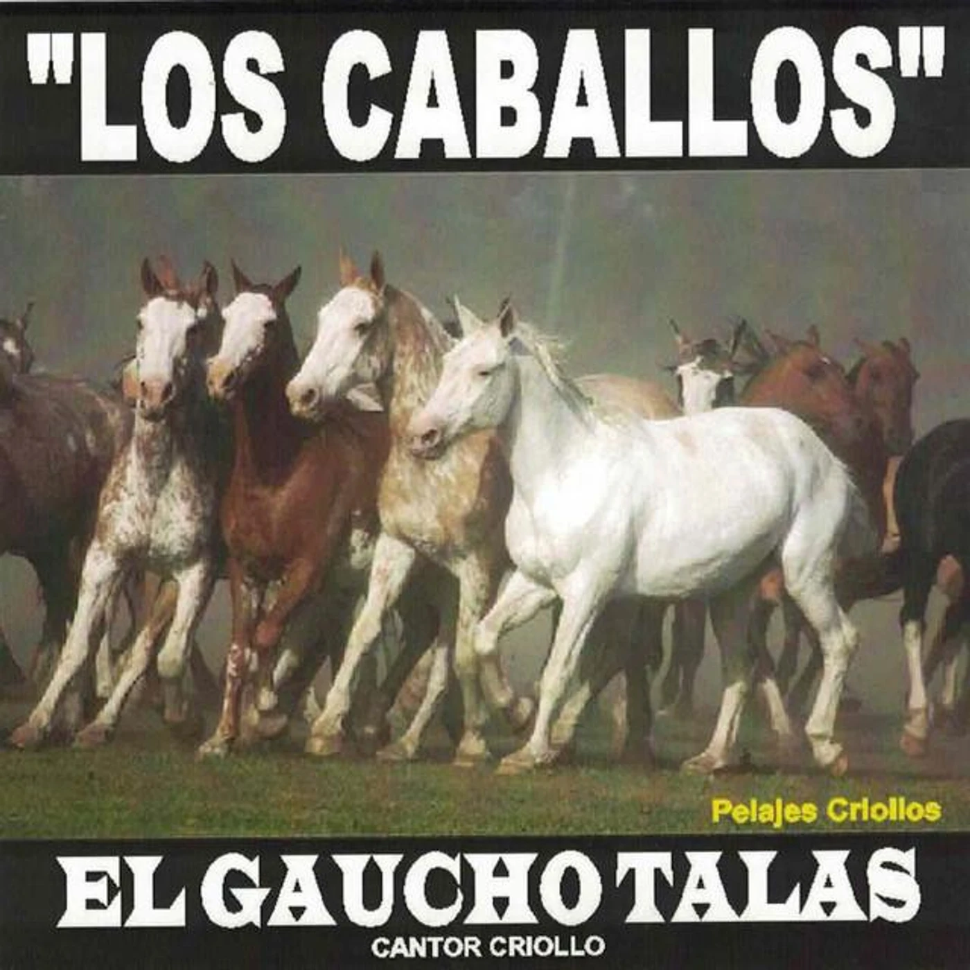 El Gaucho Talas Brand Page