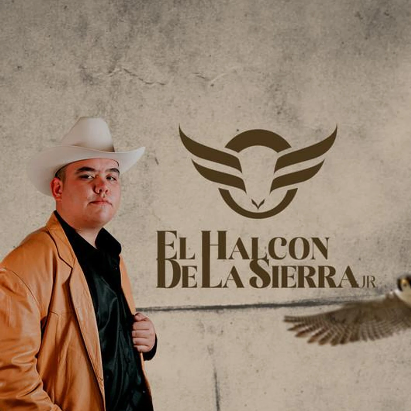 El Halcon De La Sierra Jr