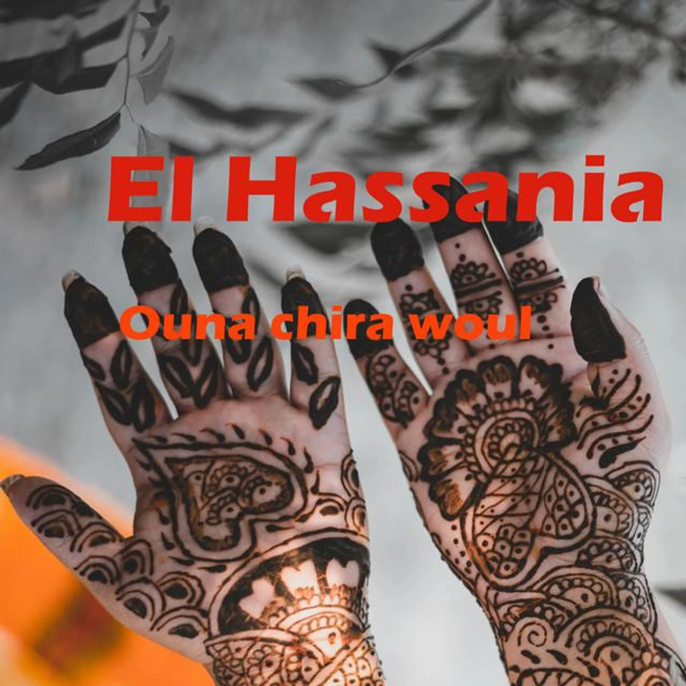 El Hassania Brand Page