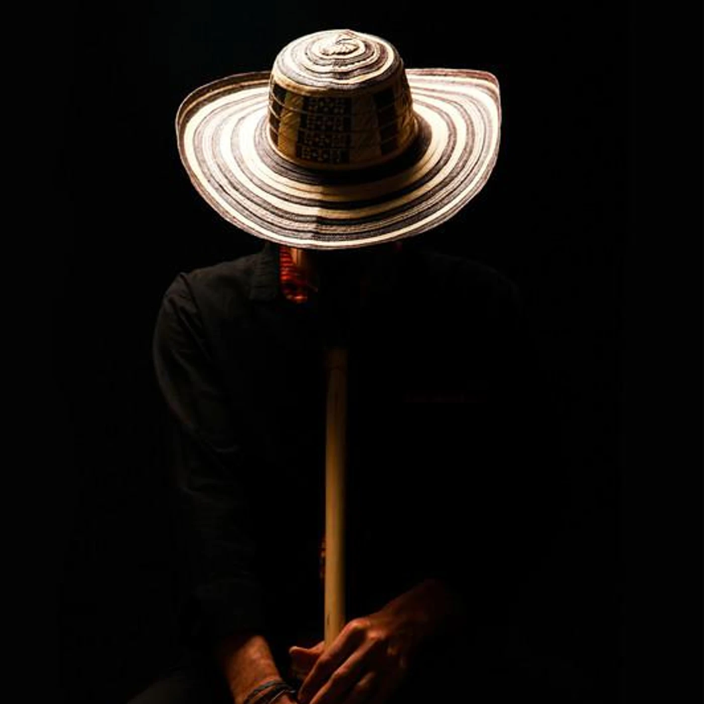 El León Pardo Brand Page