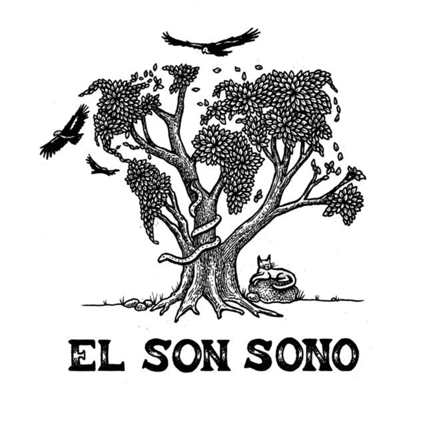 El Son Sono Brand Page