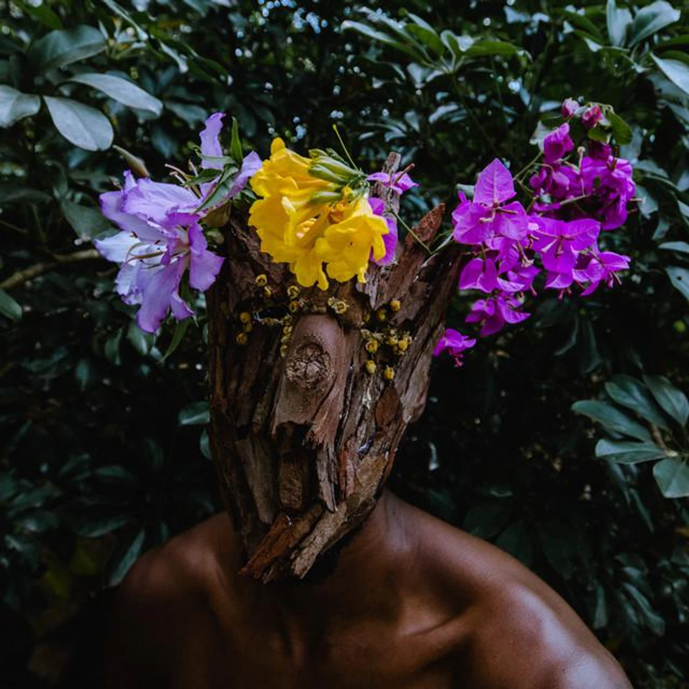 Eloy Polemico Brand Page