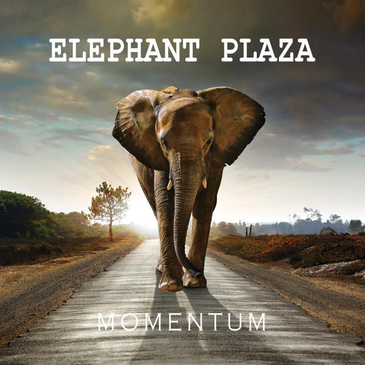 Elephant Plaza Brand Page