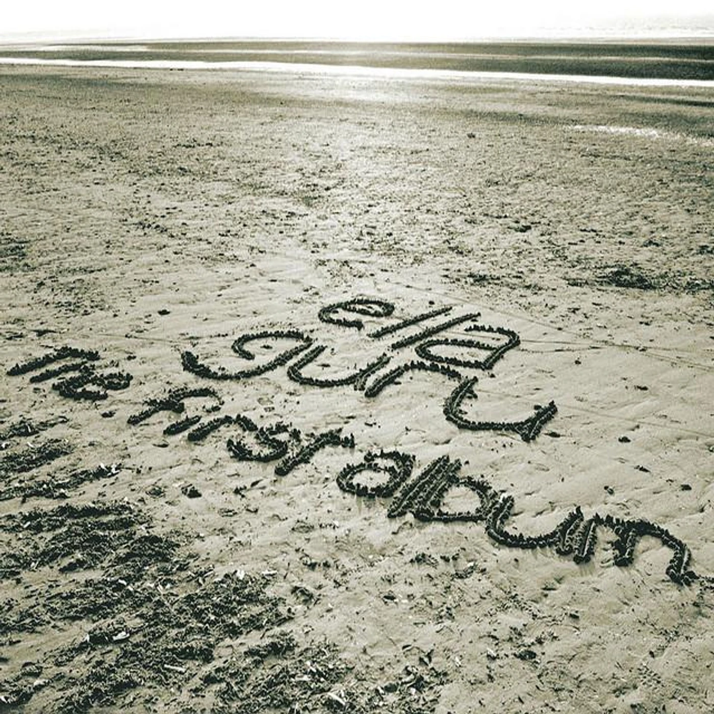 Ella Guru Brand Page