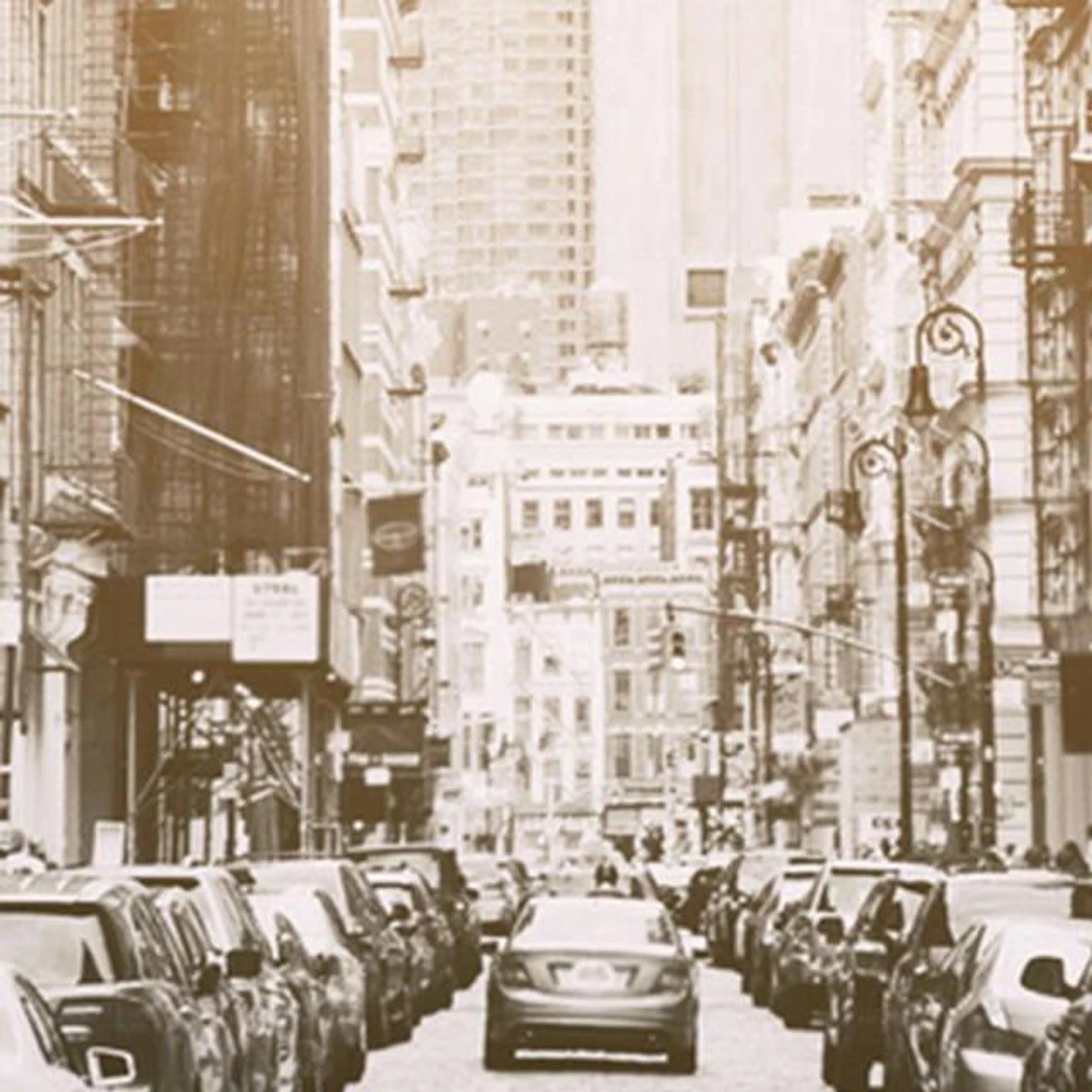 Ellie & The Bunch Brand Page