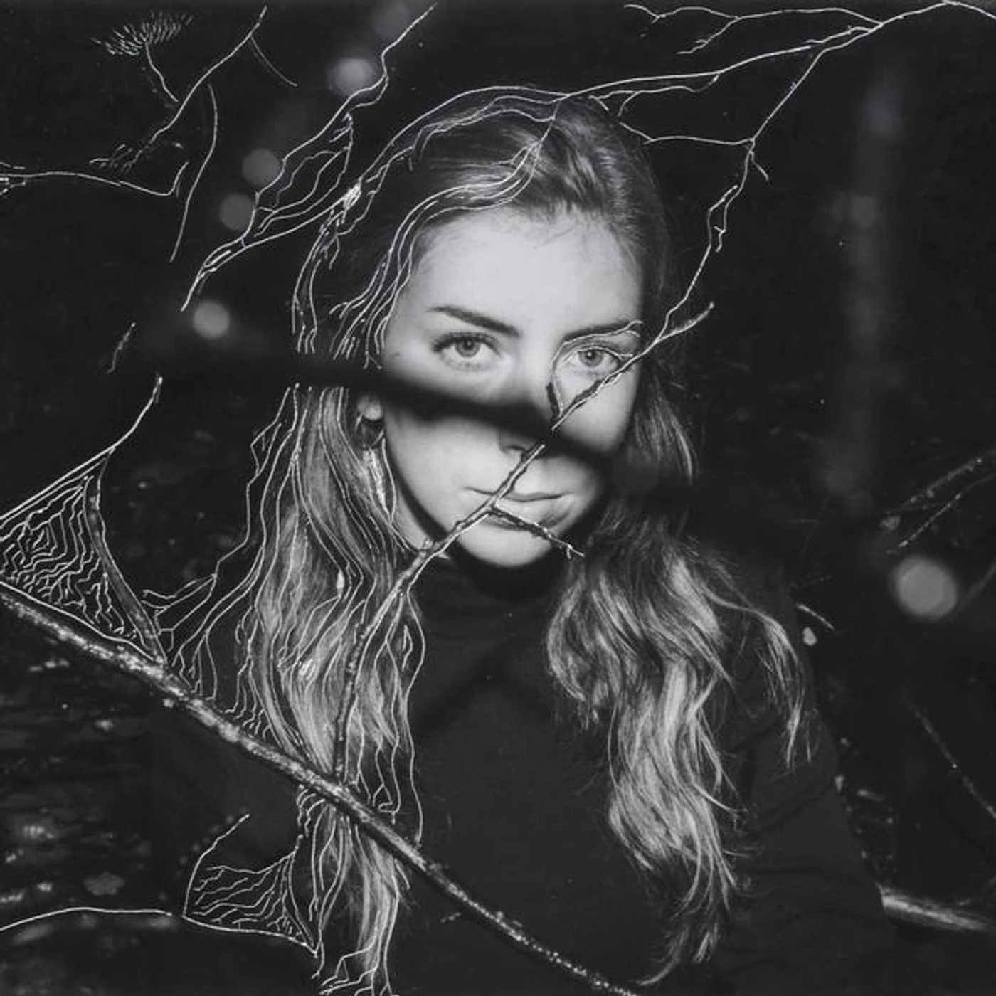 Ellis North Brand Page