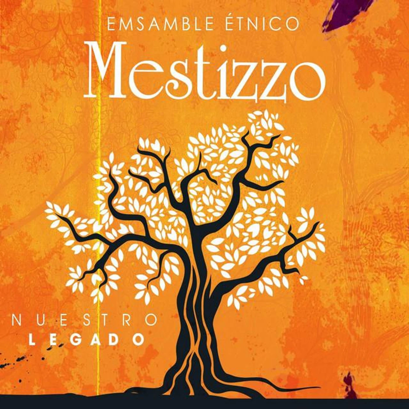 Ensamble Étnico Mestizzo Brand Page