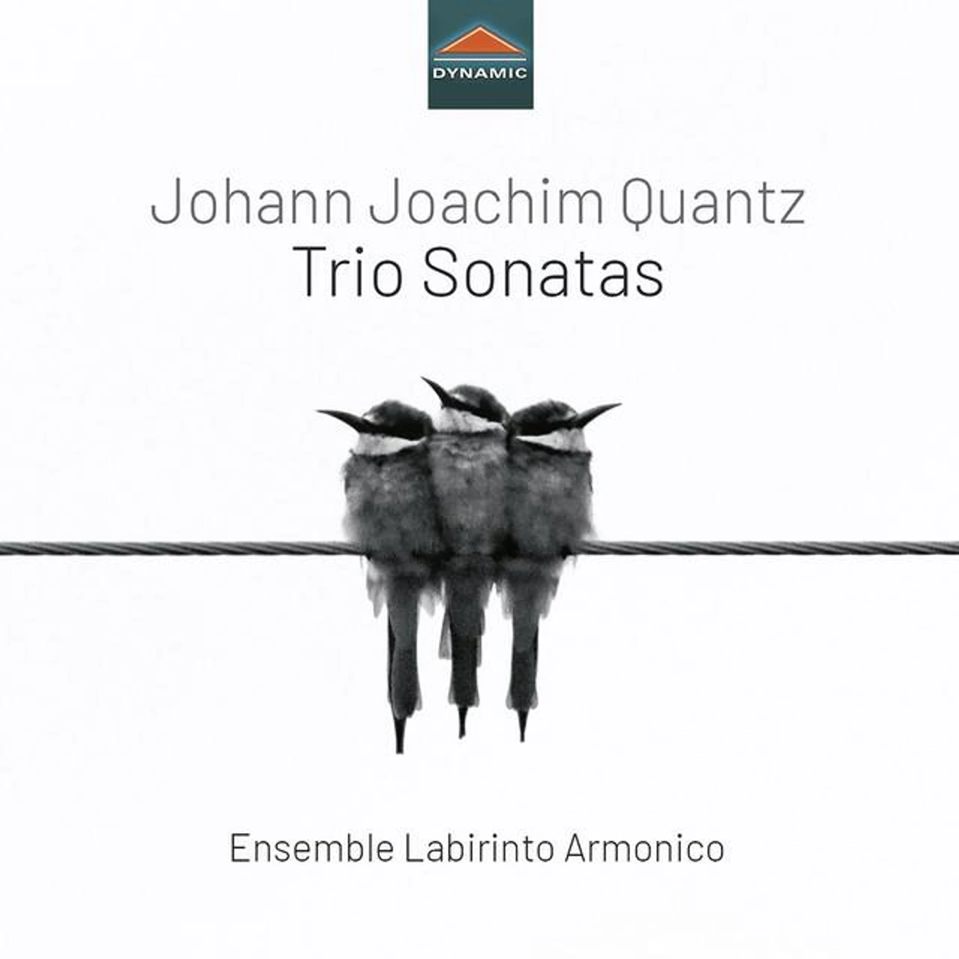 Ensemble Labirinto Armonico