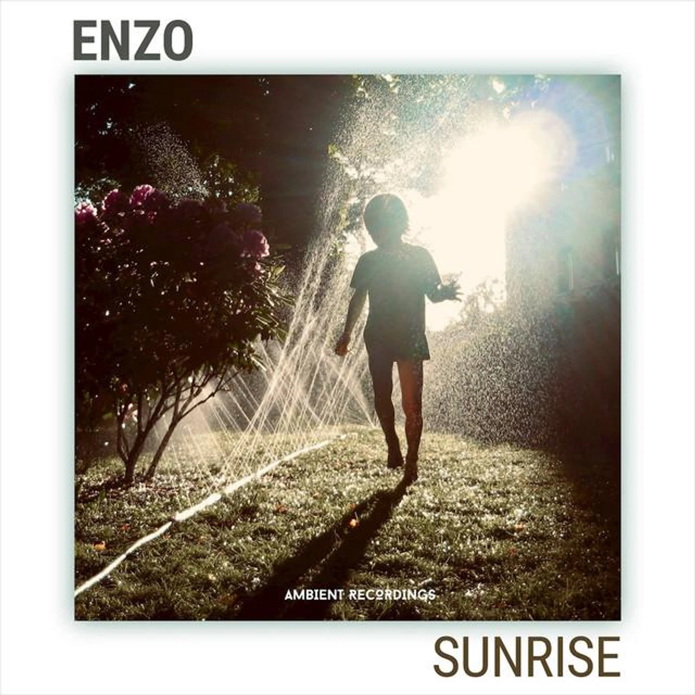 Enzo Enzo Brand Page