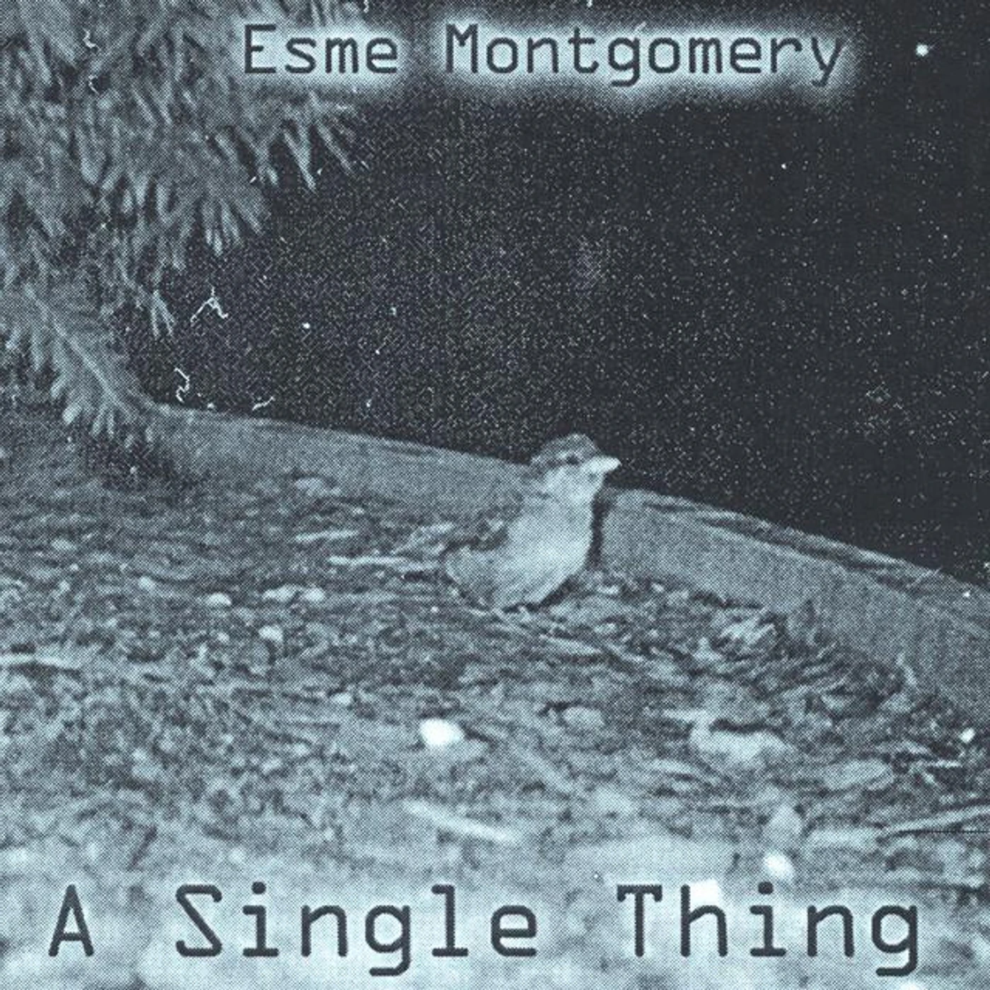 Esme Montgomery Brand Page