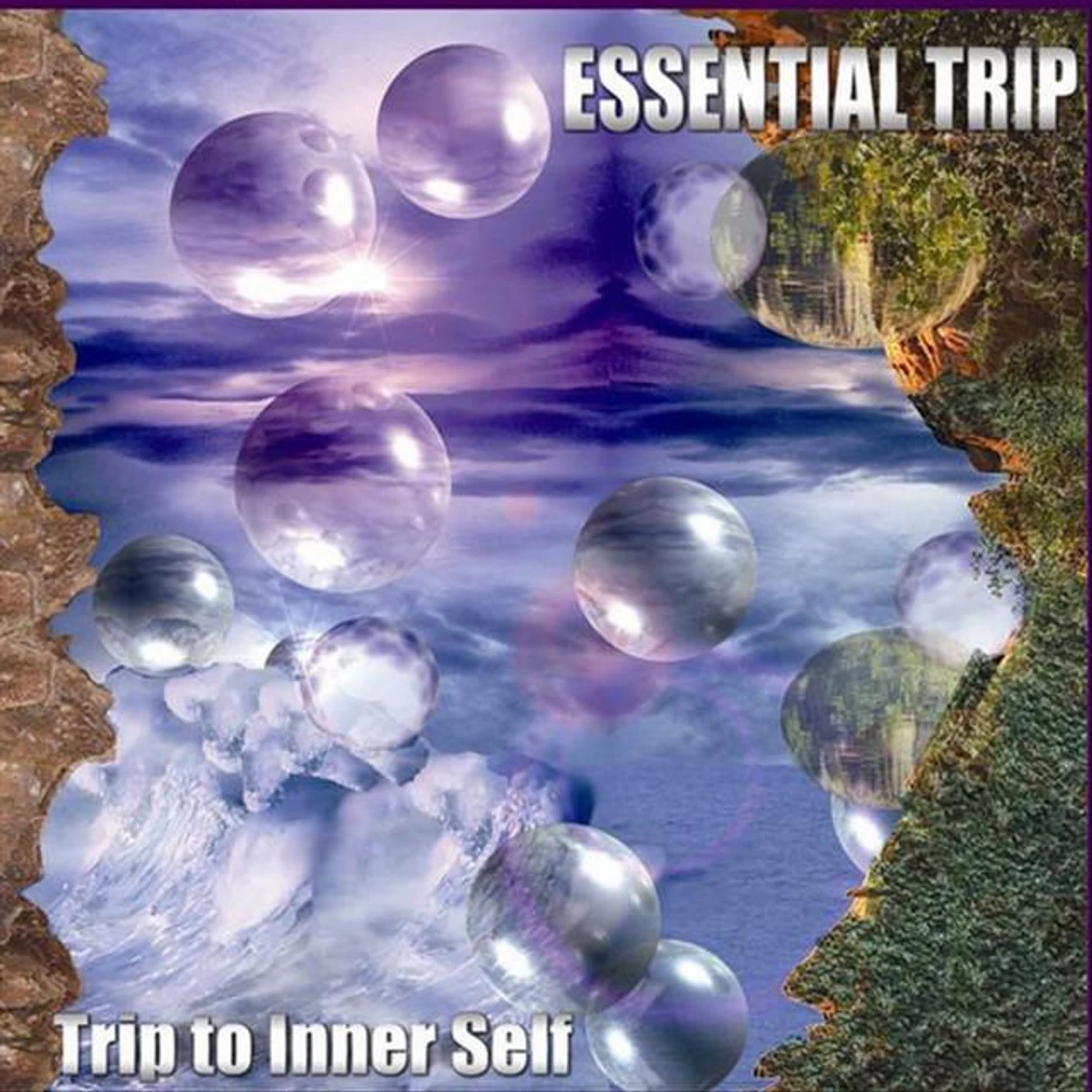 Essential Trip