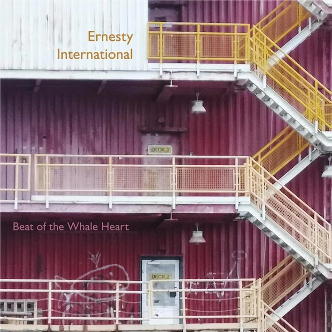 Ernesty International Brand Page