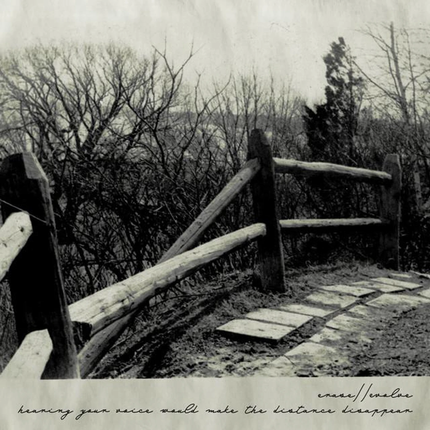 erase//evolve Brand Page