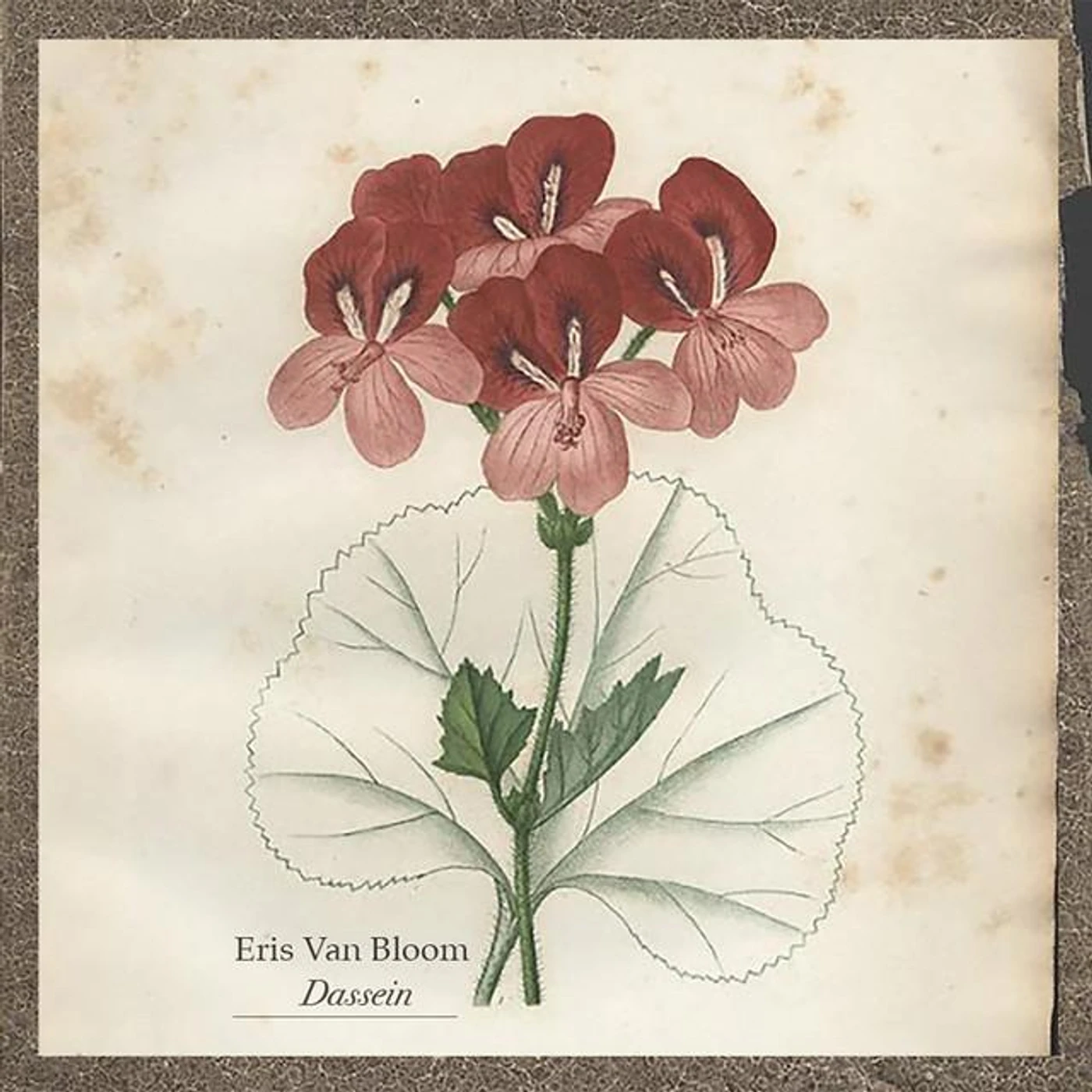 Eris Van Bloom Brand Page