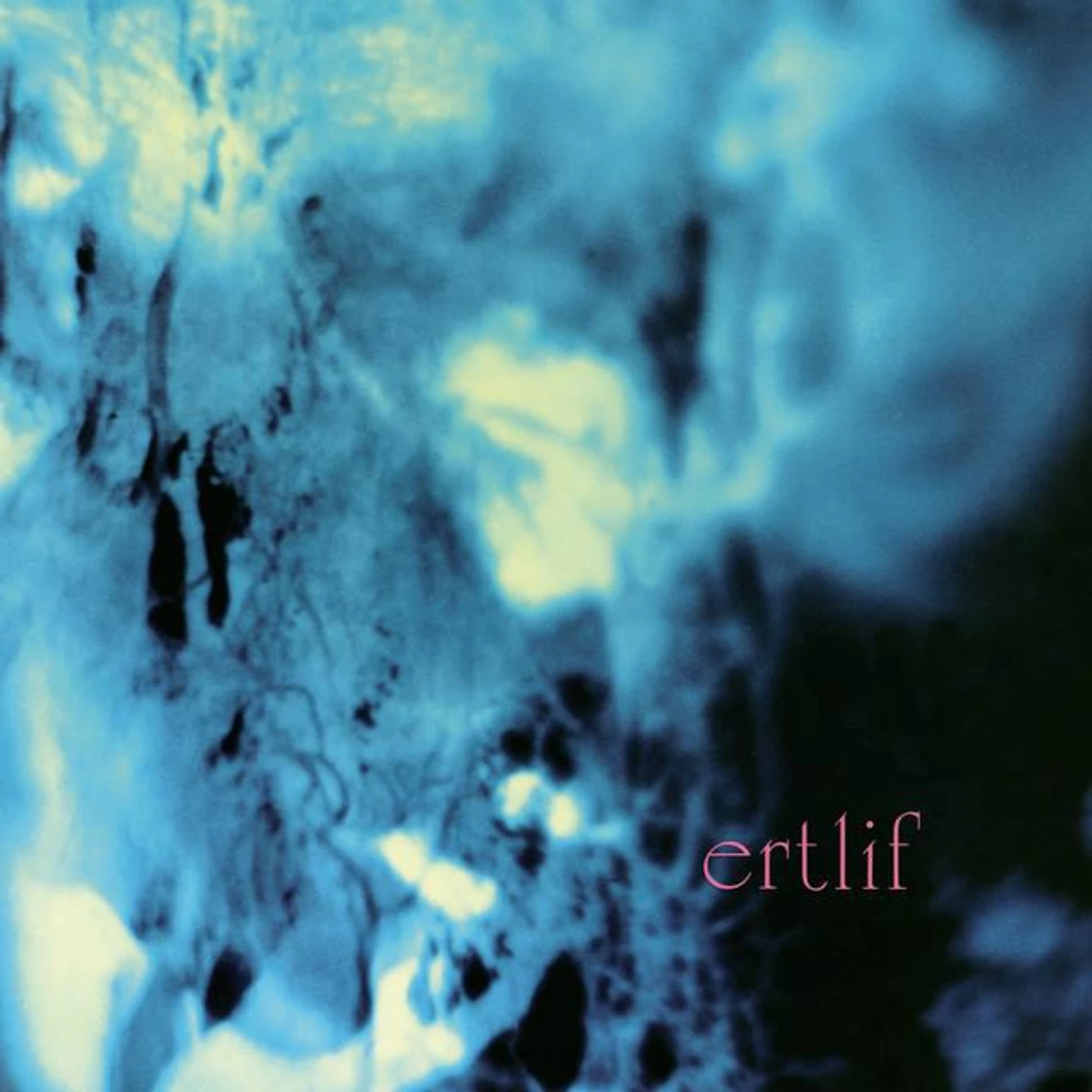Ertlif Brand Page