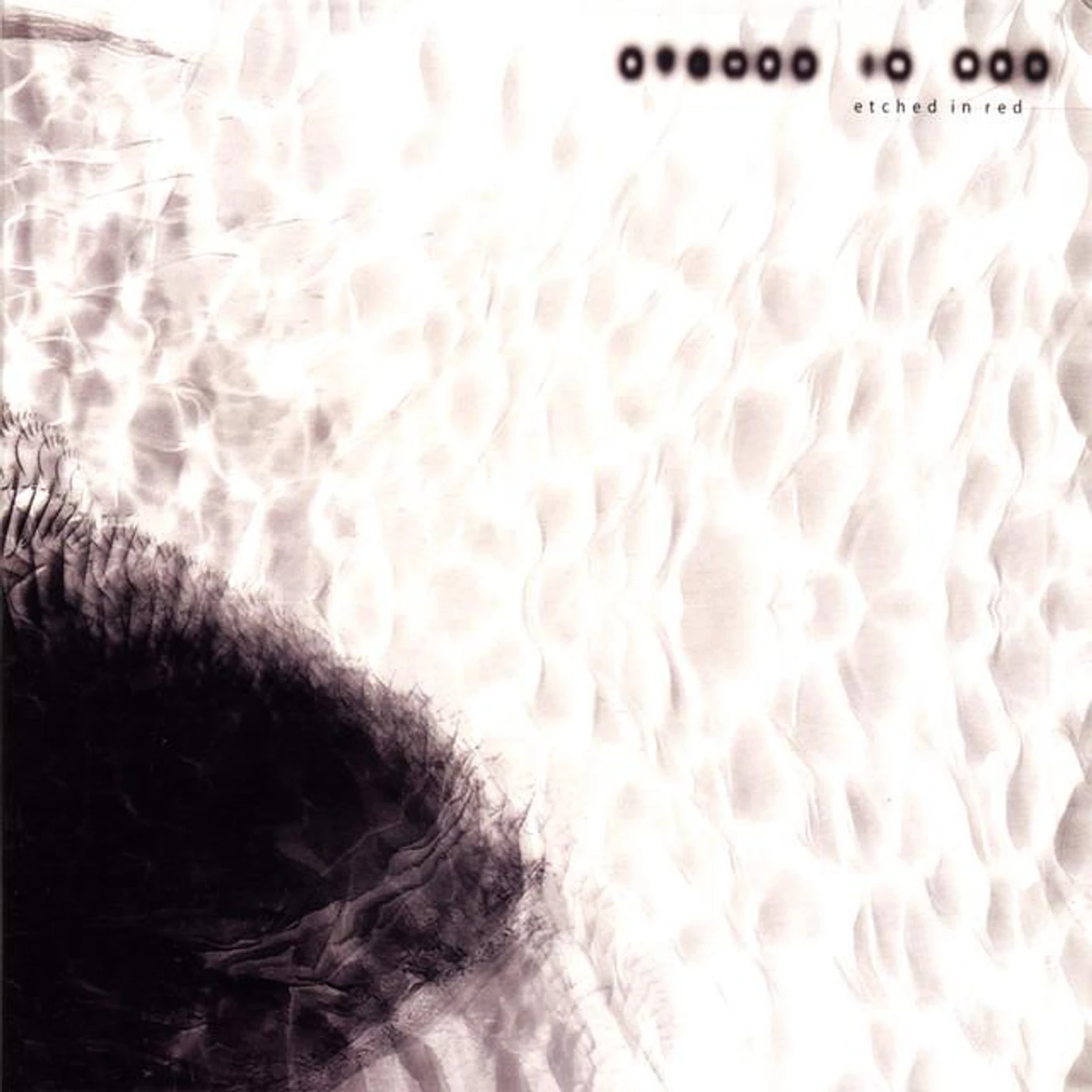 Etched In Red Brand Page