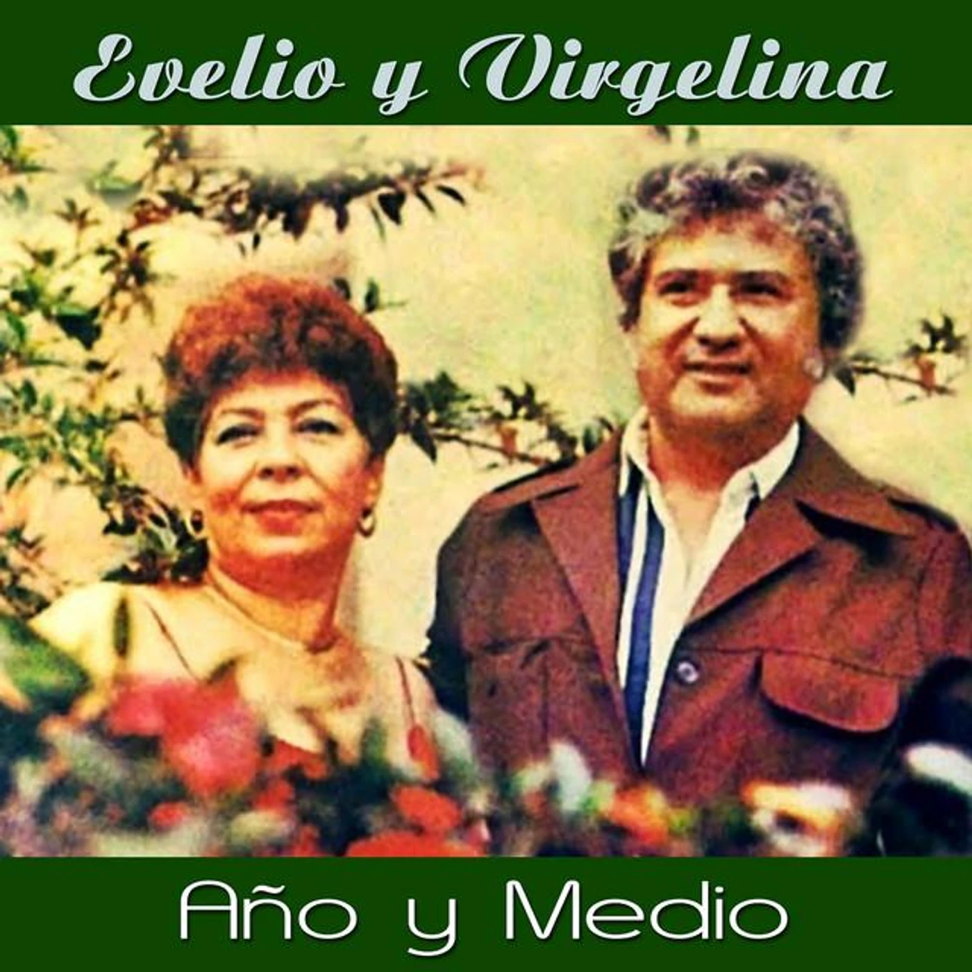Evelio y Virgelina Brand Page