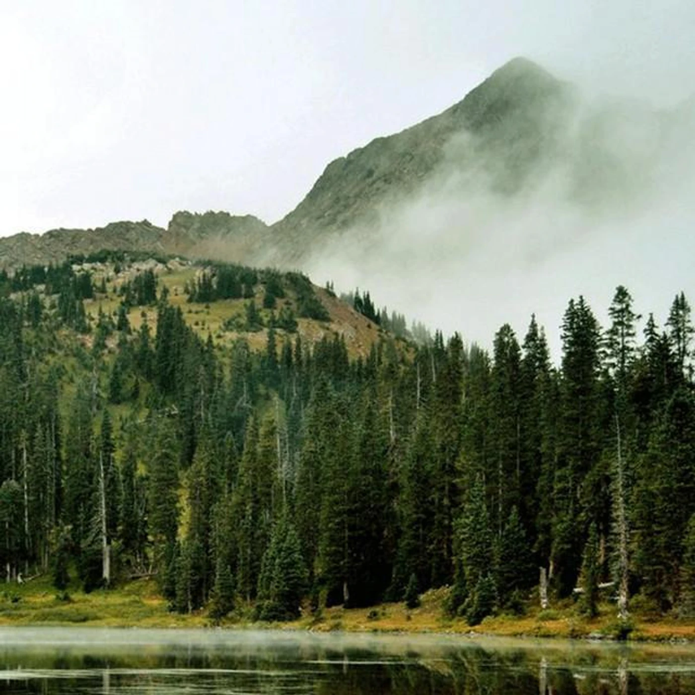 Evergreen Refuge Brand Page