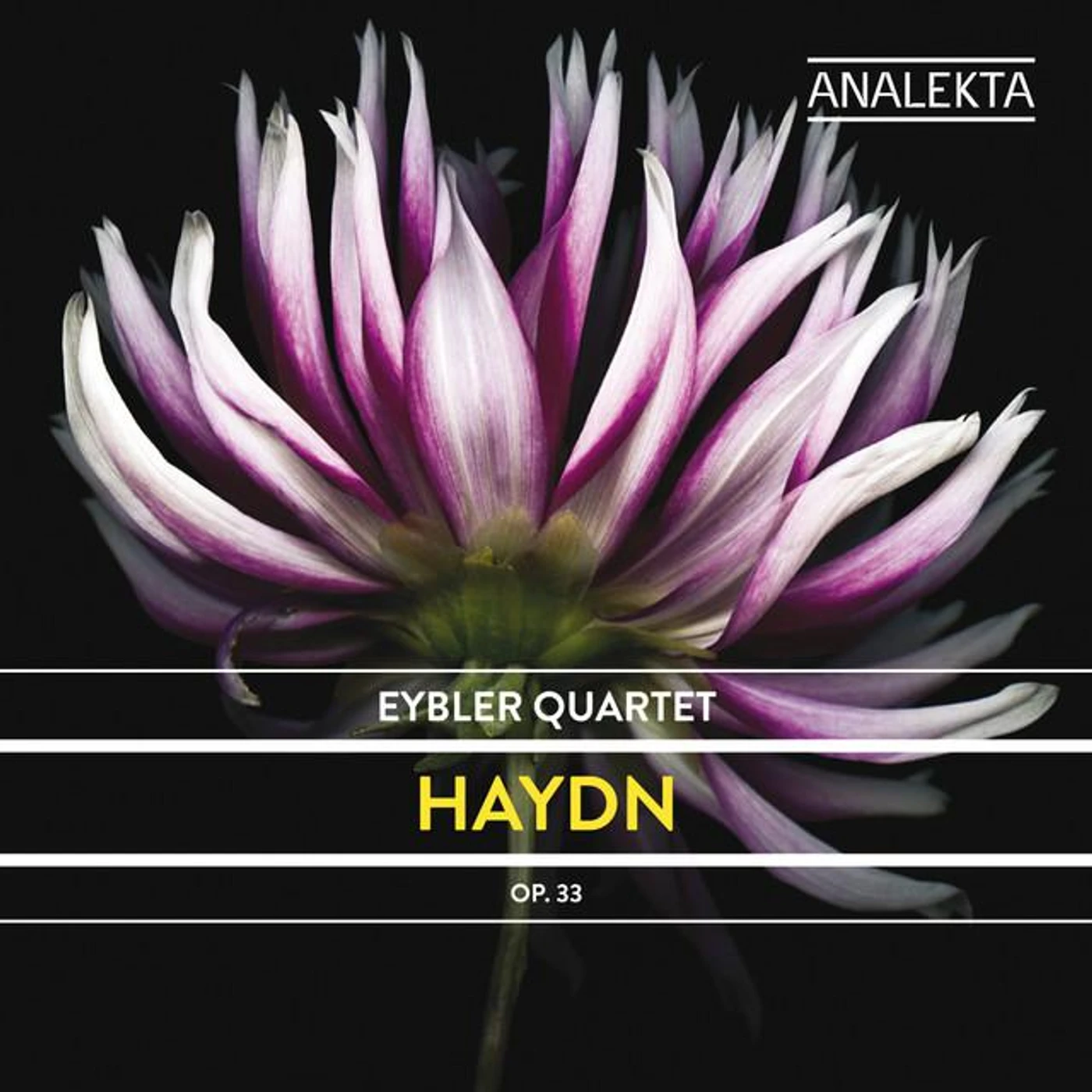 Eybler Quartet Brand Page