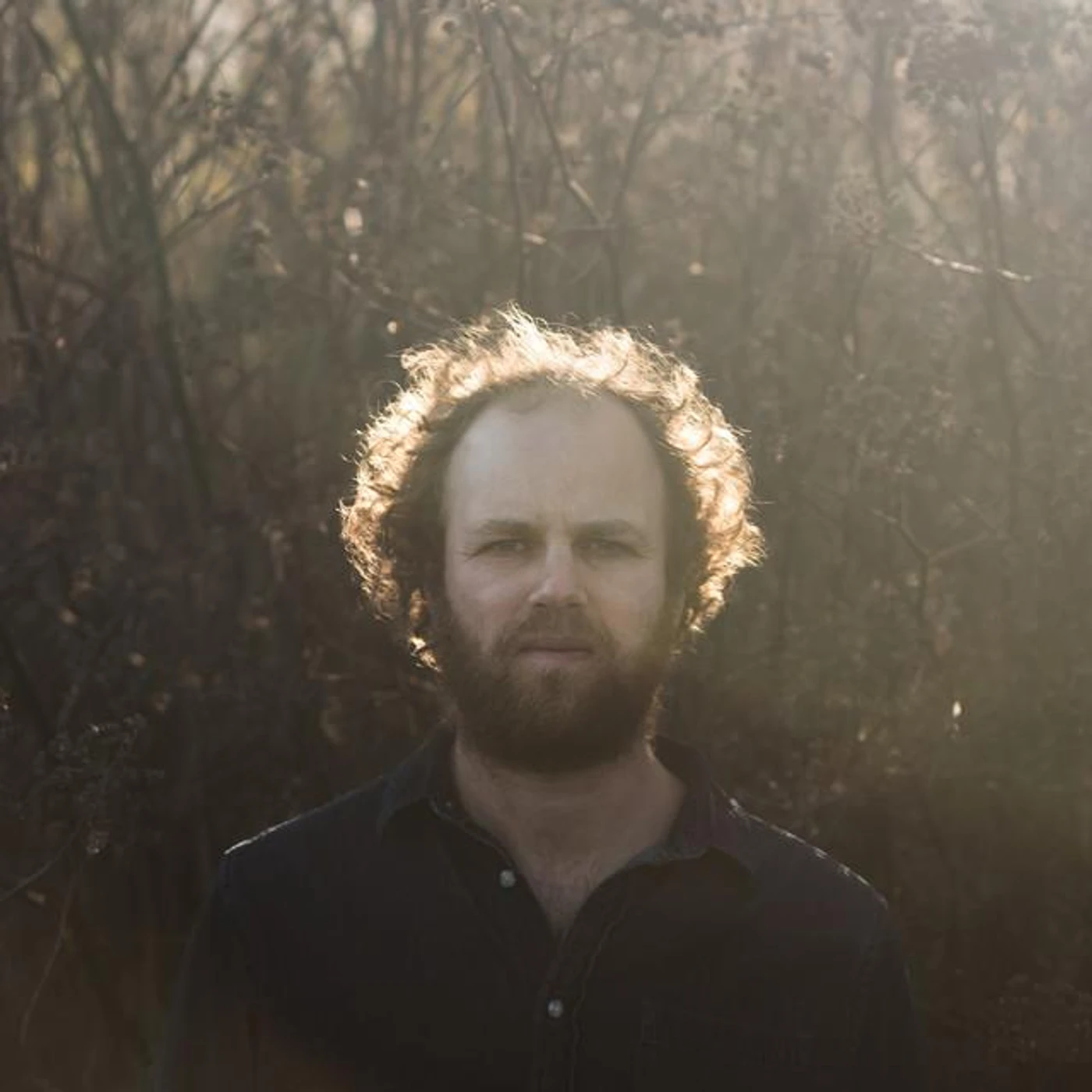 Ezra Lipp Brand Page