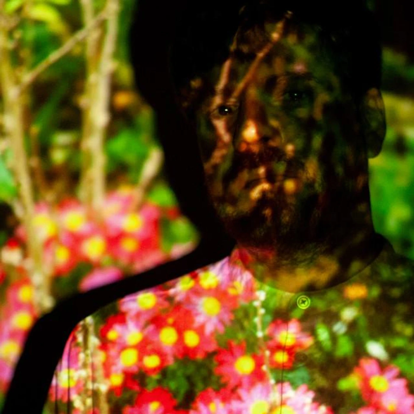 Fabian Simon Brand Page