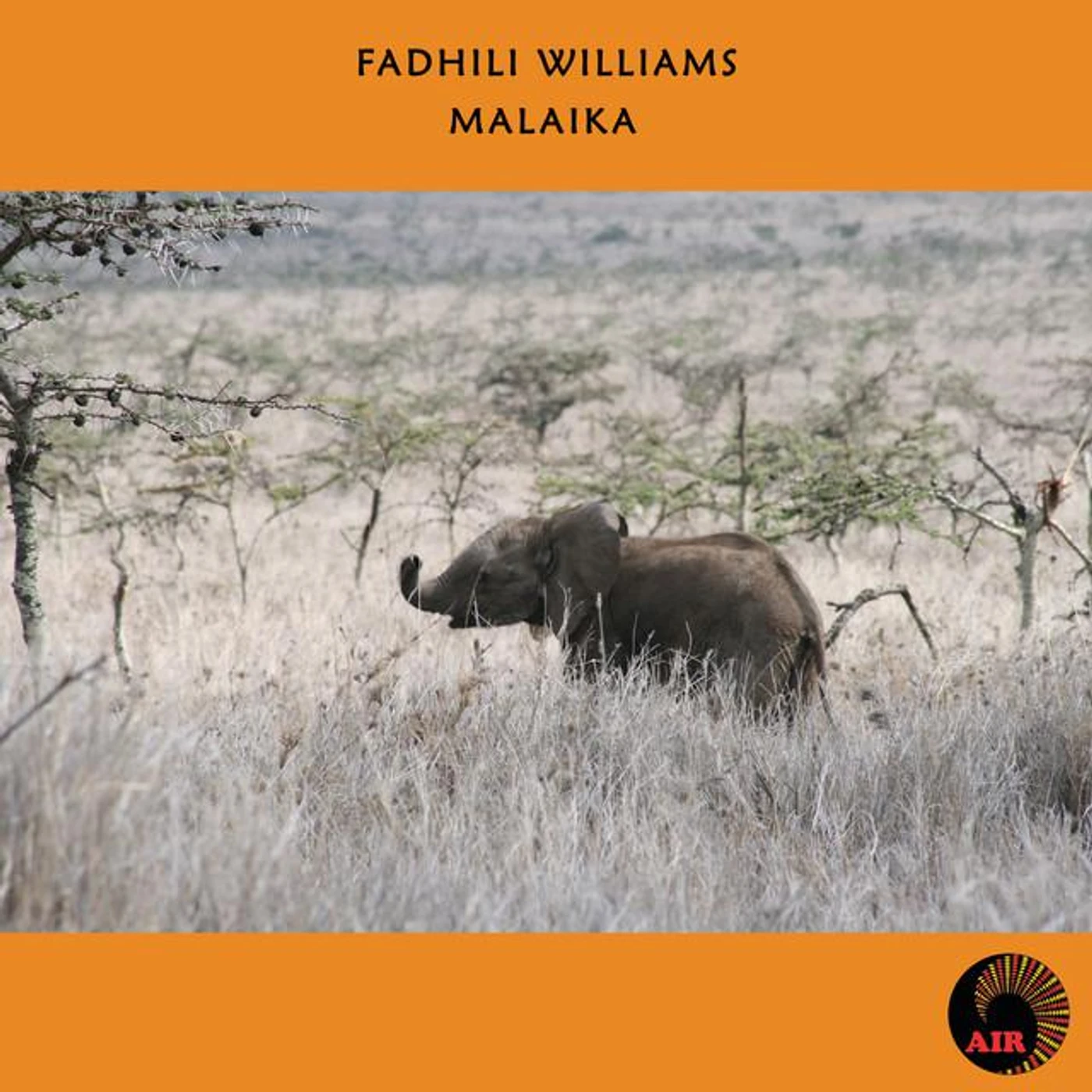 Fadhili Williams Brand Page