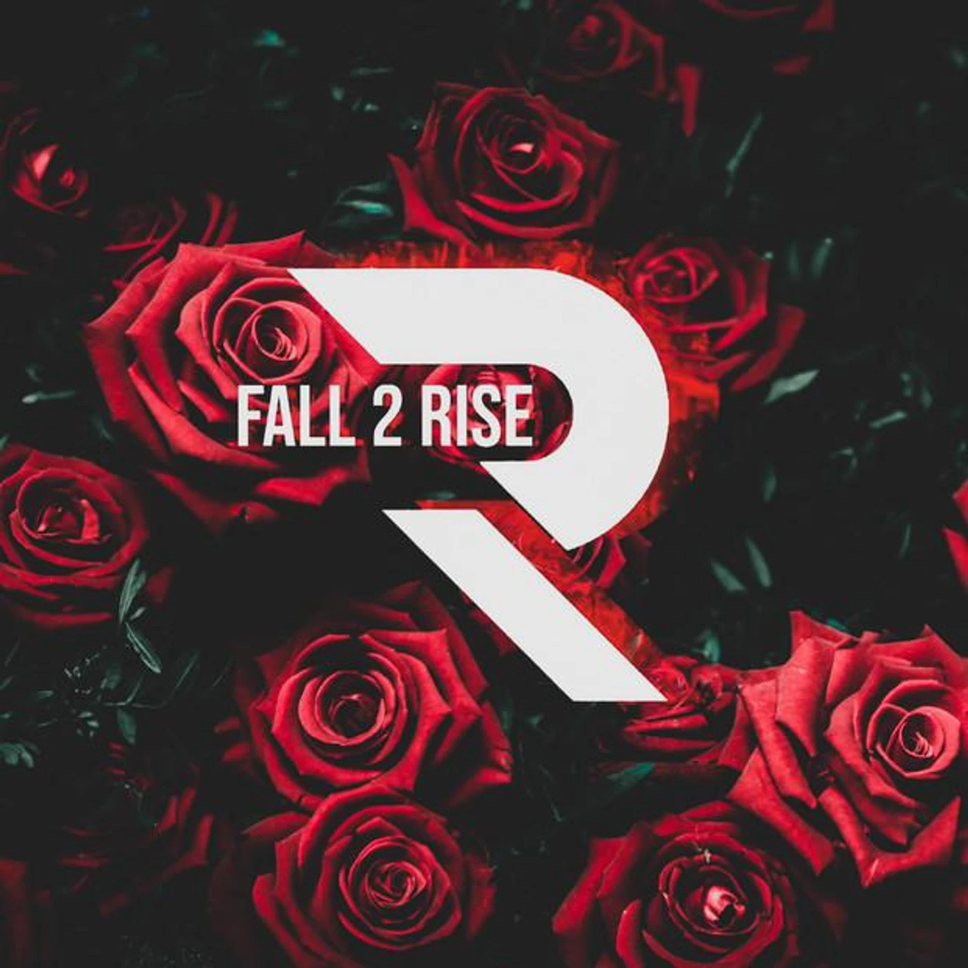 Fall 2 Rise