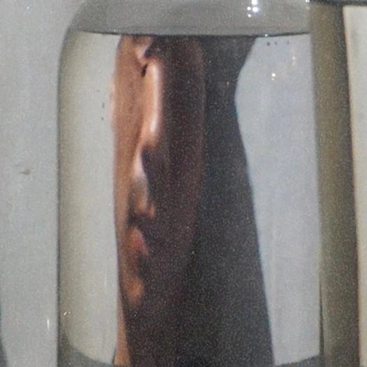Faris Khairi