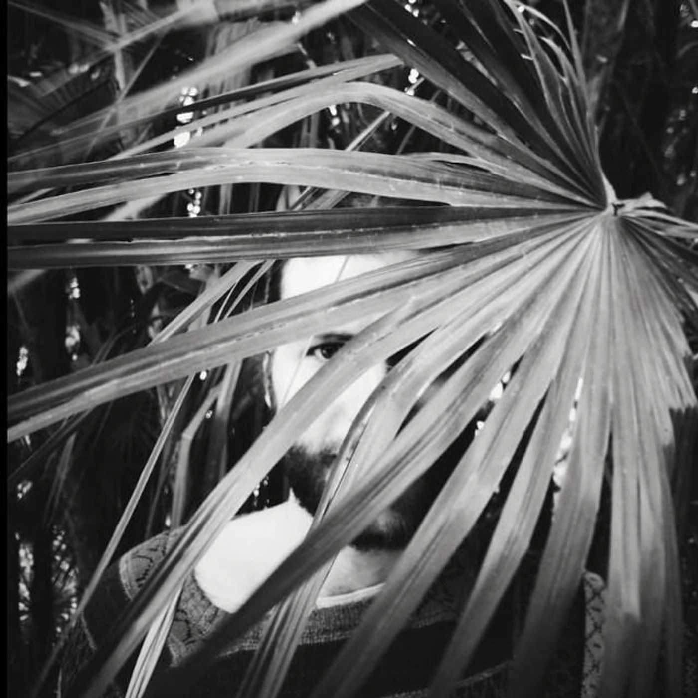 Feinheitsbrei Brand Page