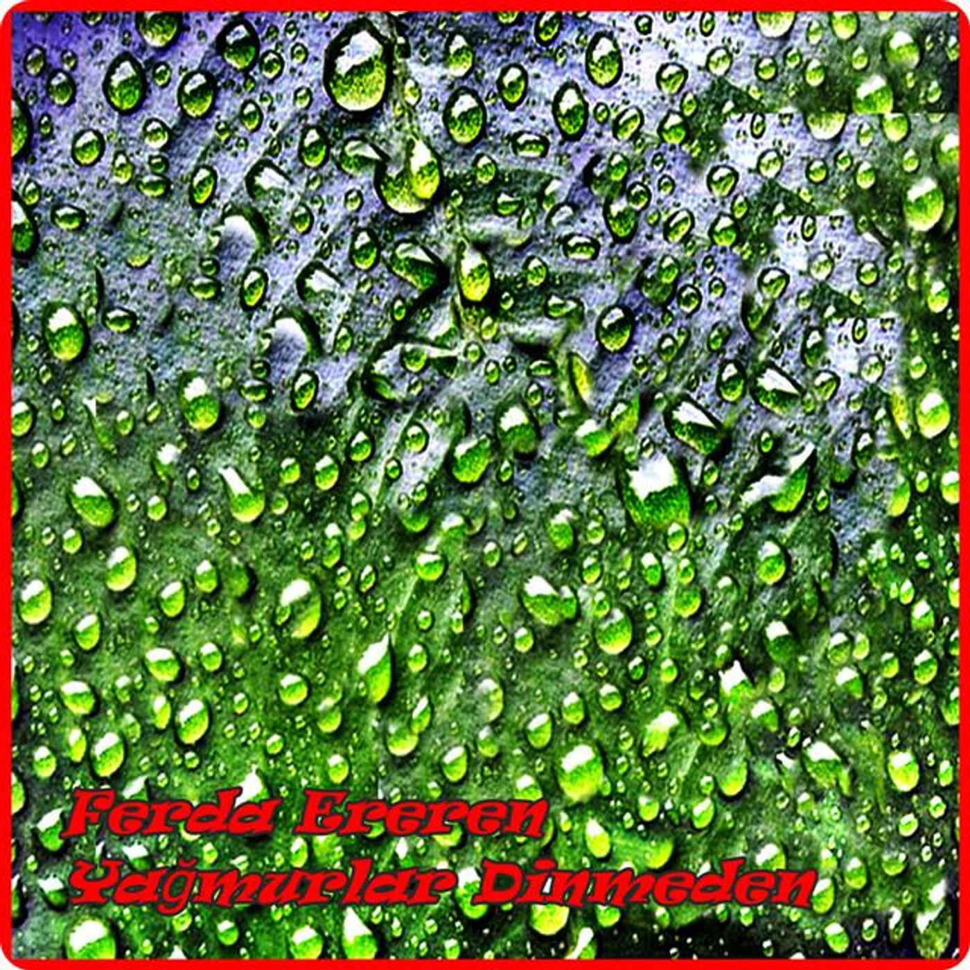 Ferda Ereren Brand Page