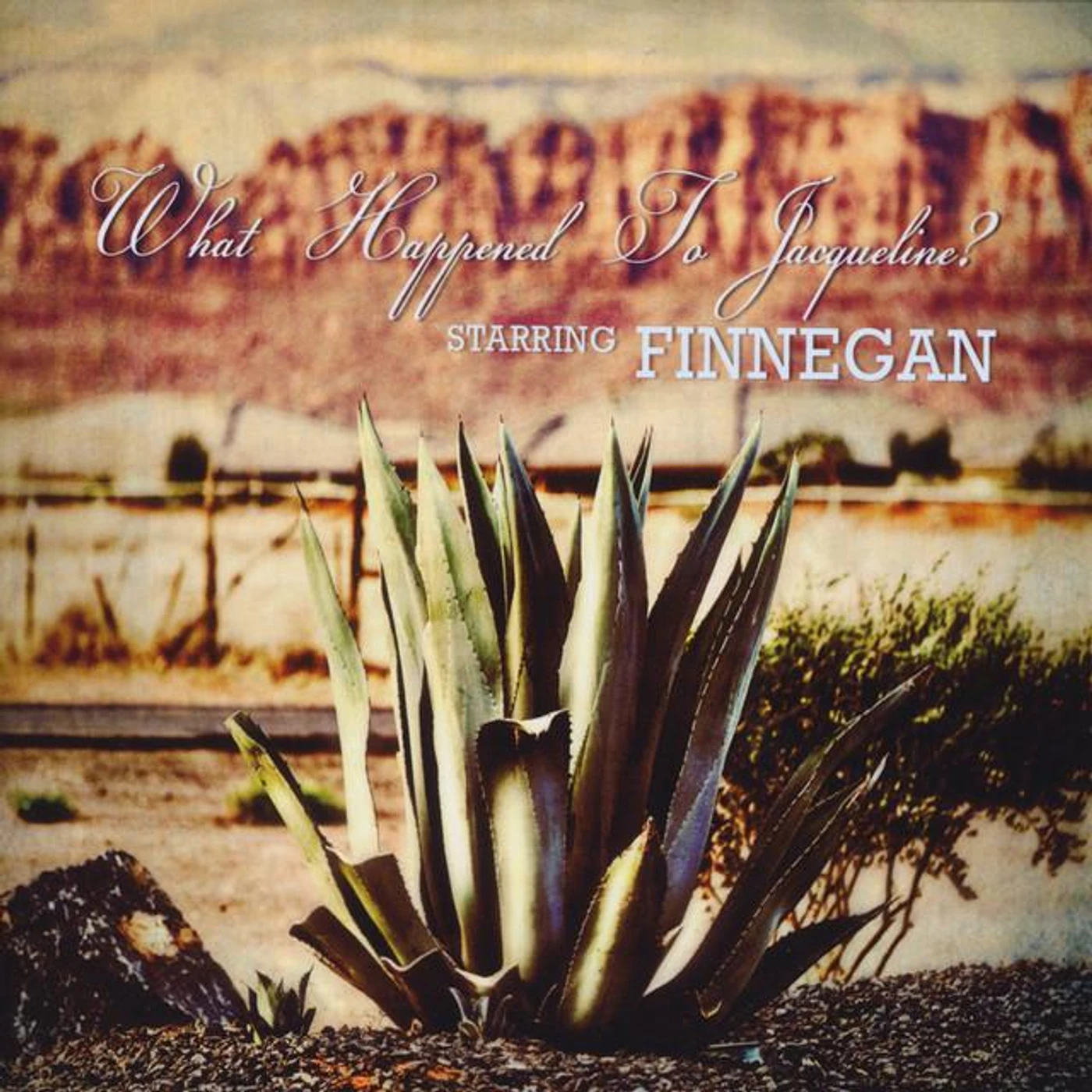Finnegan Brand Page