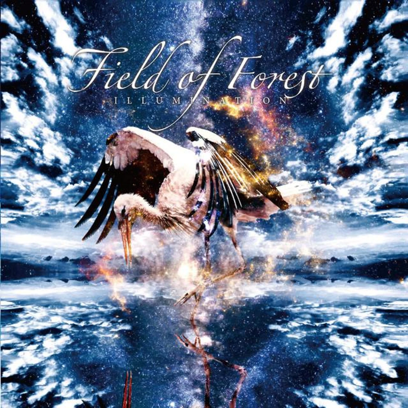 FIELD OF FOREST