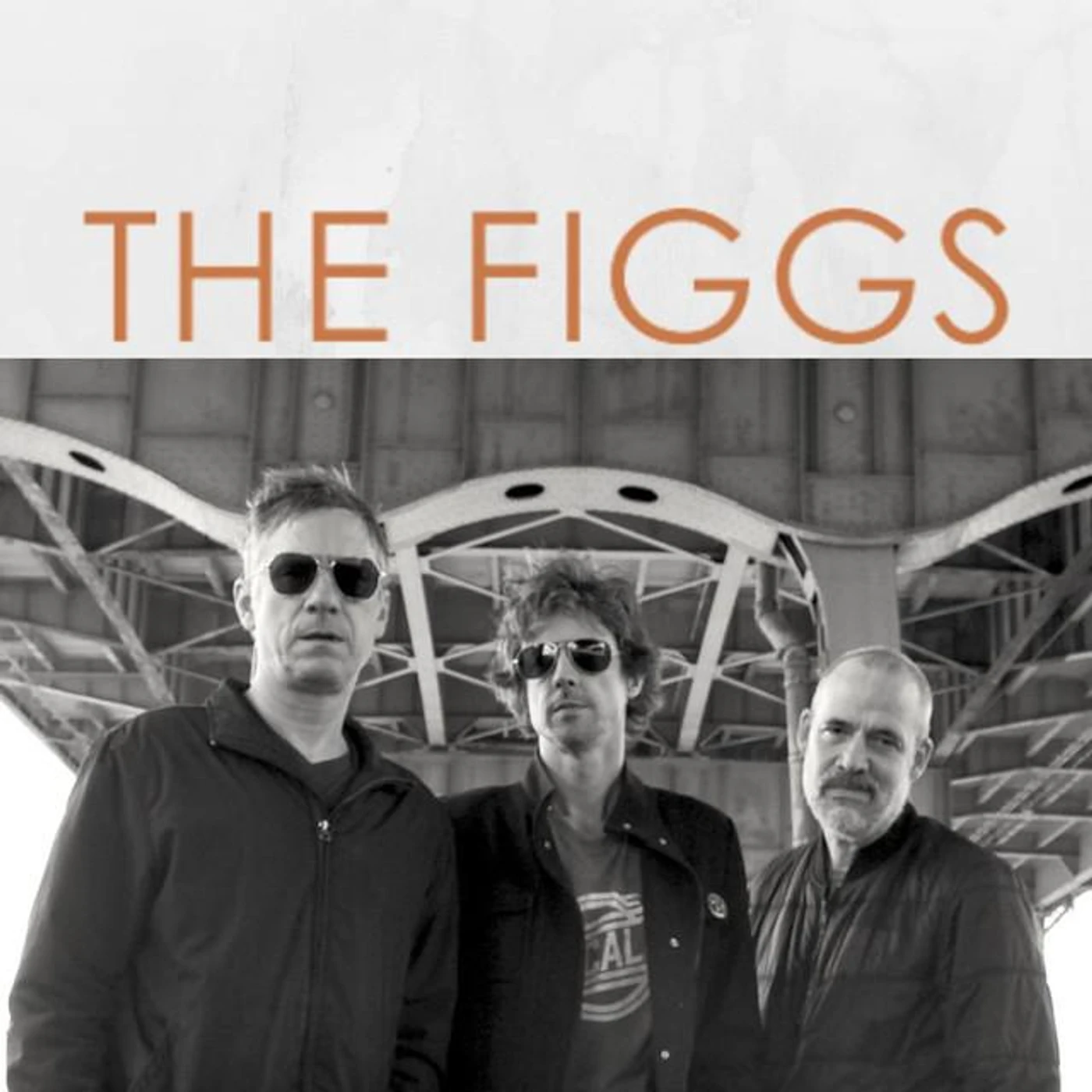 The Figgs Brand Page