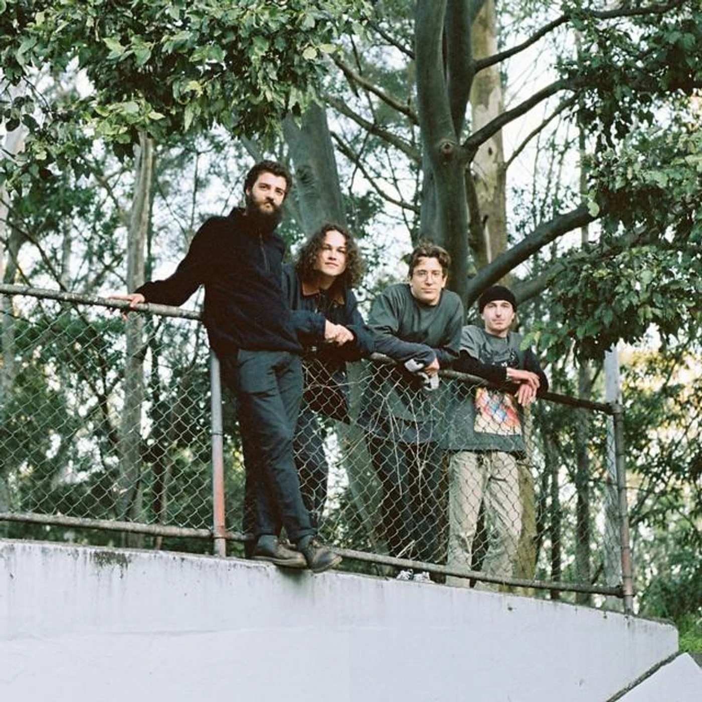 Fight Ibis Brand Page