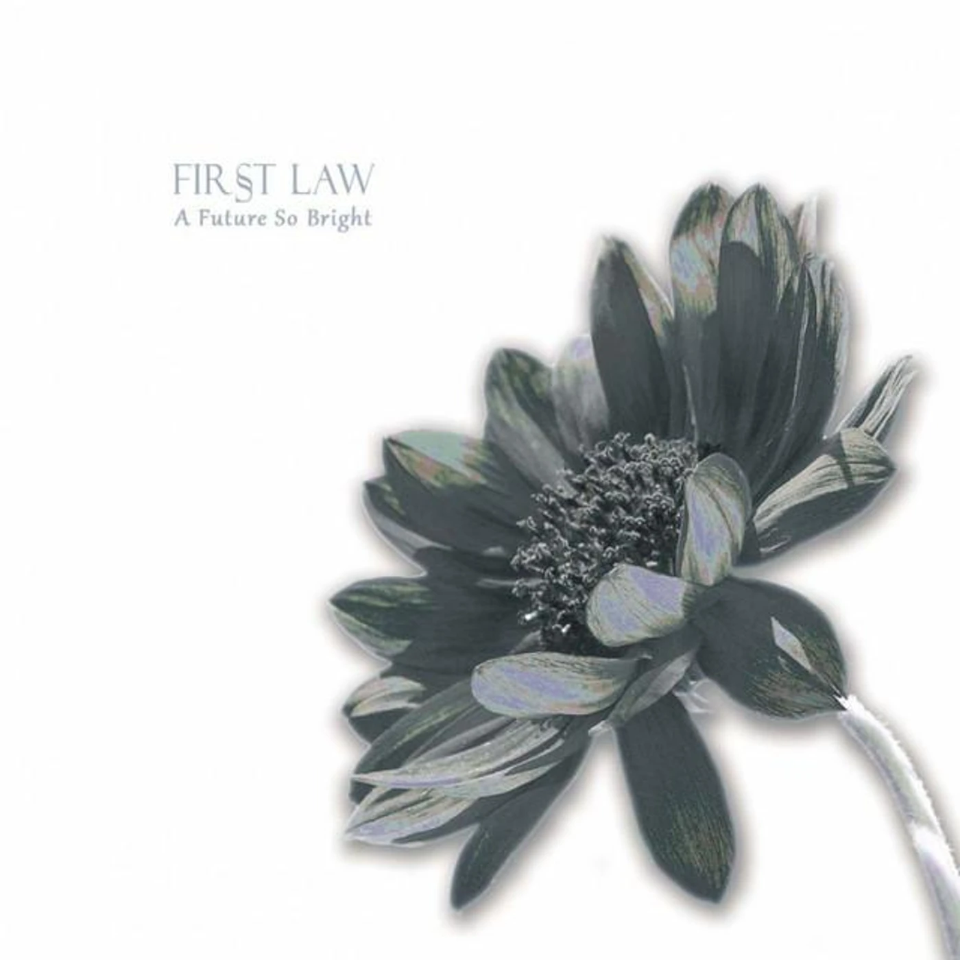 First Law