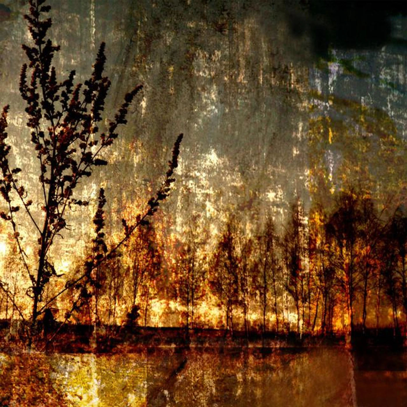 Five Elements Music