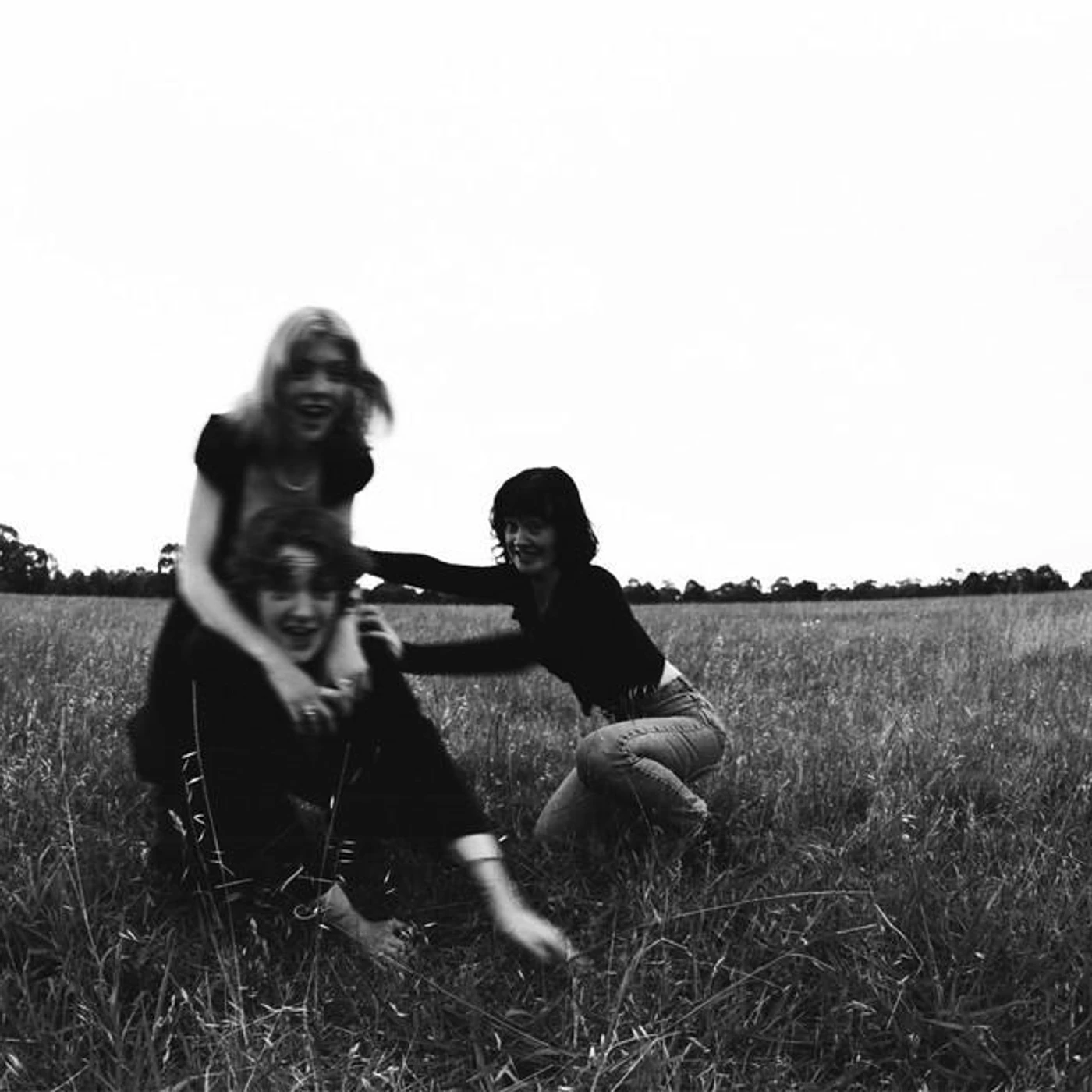 Folk Bitch Trio Brand Page