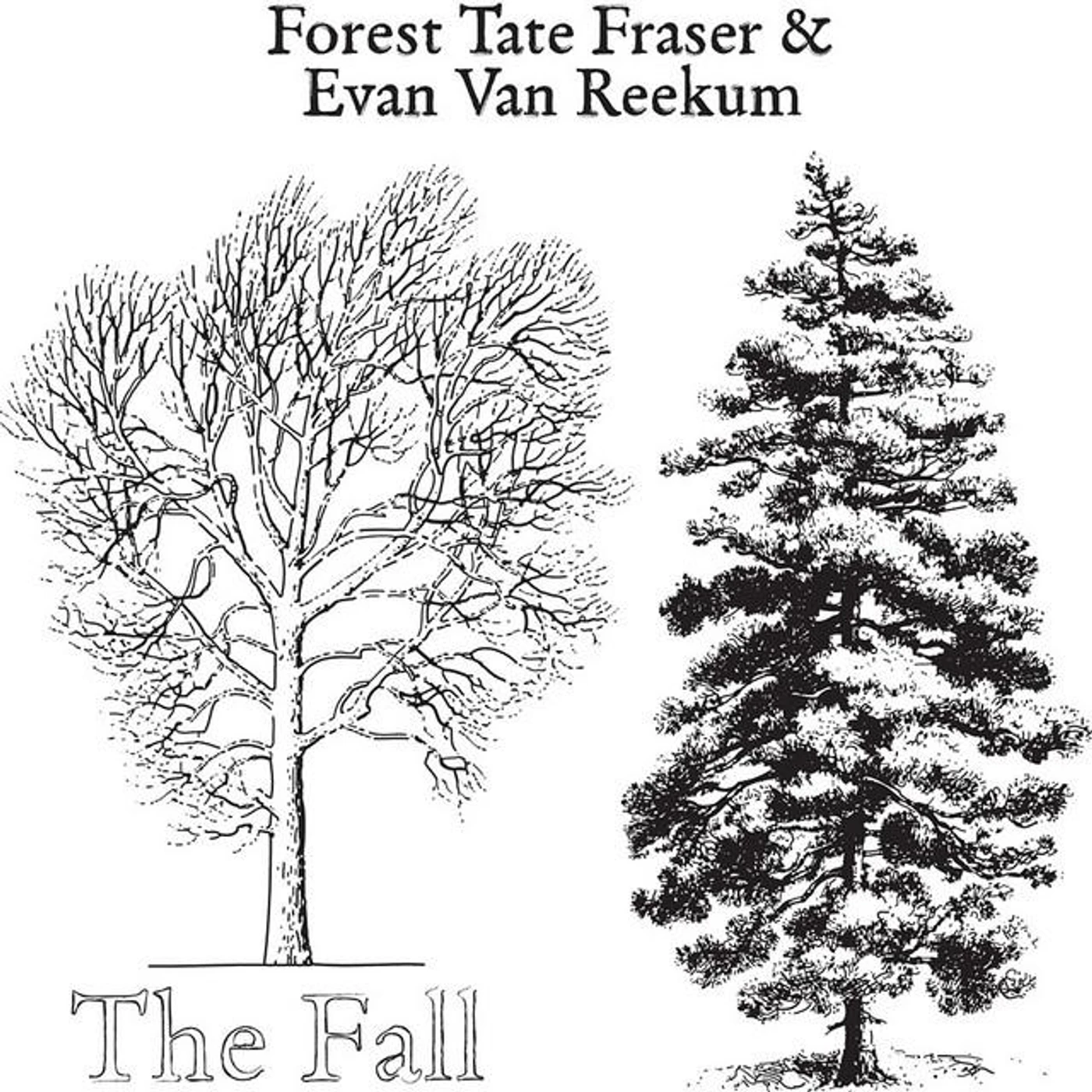 Forest Tate Fraser