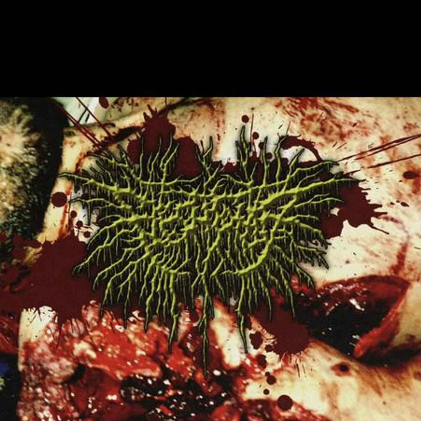 Flesh Tomb Brand Page