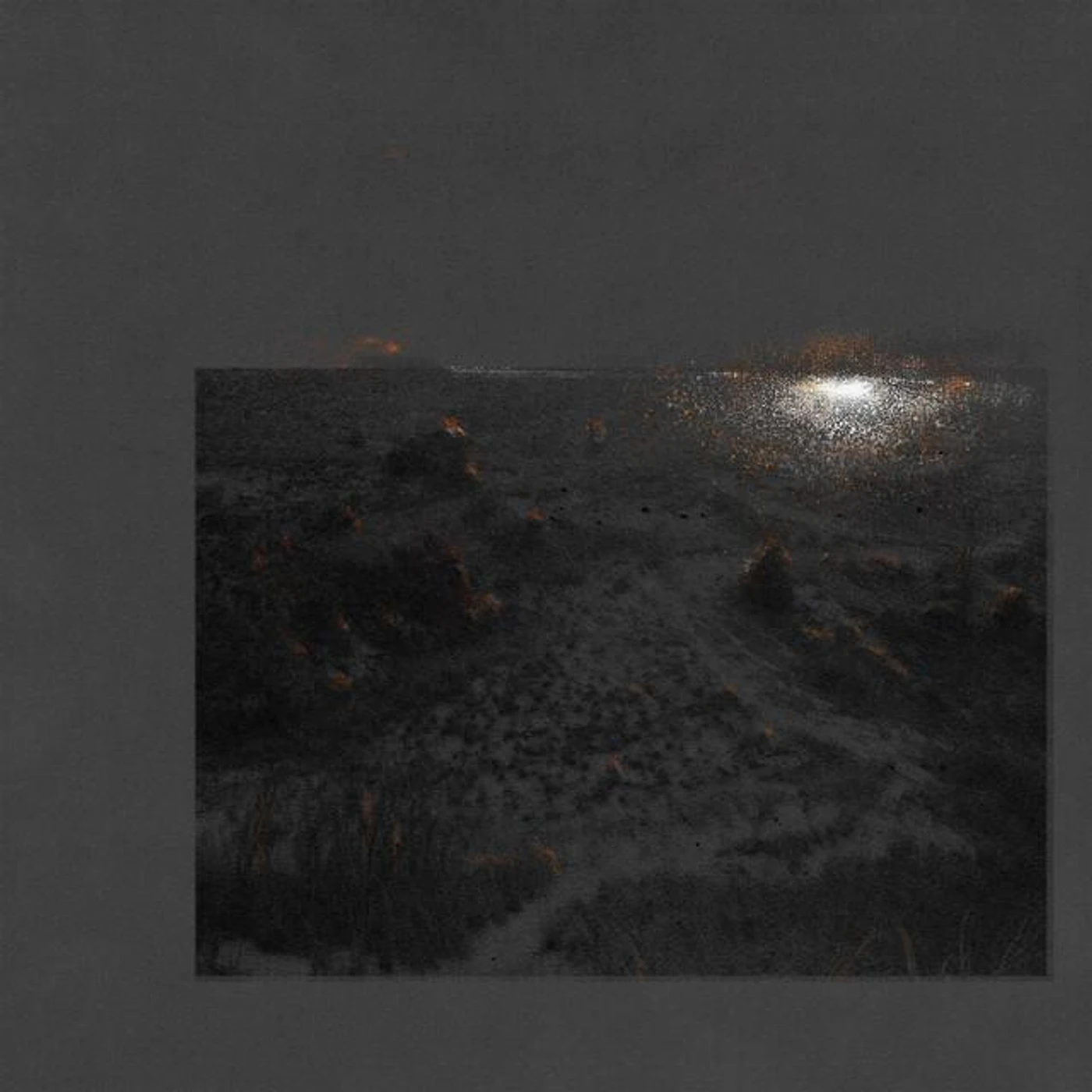 Flesh of the Stars Brand Page