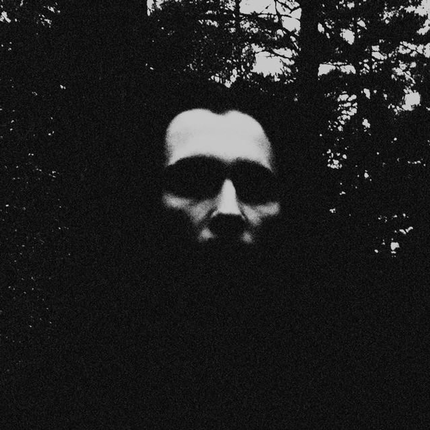 Frostnatt Brand Page