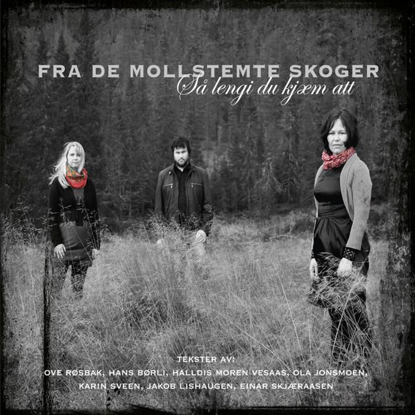 Fra de mollstemte skoger Brand Page