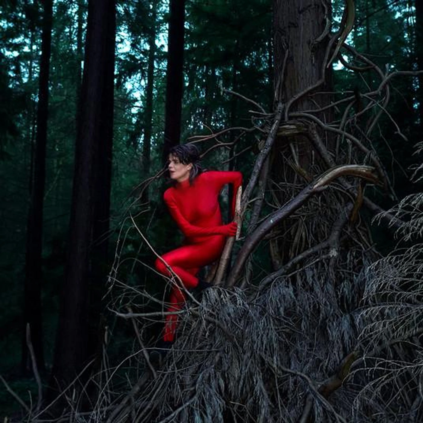 Françoiz Breut Brand Page