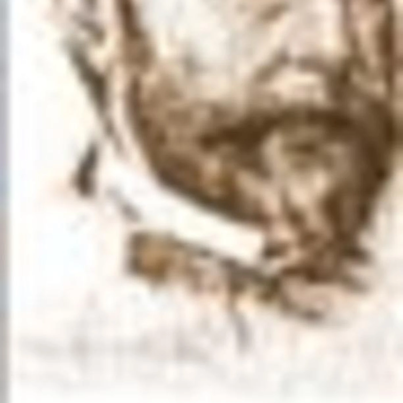 Francisco Asenjo Barbieri Brand Page