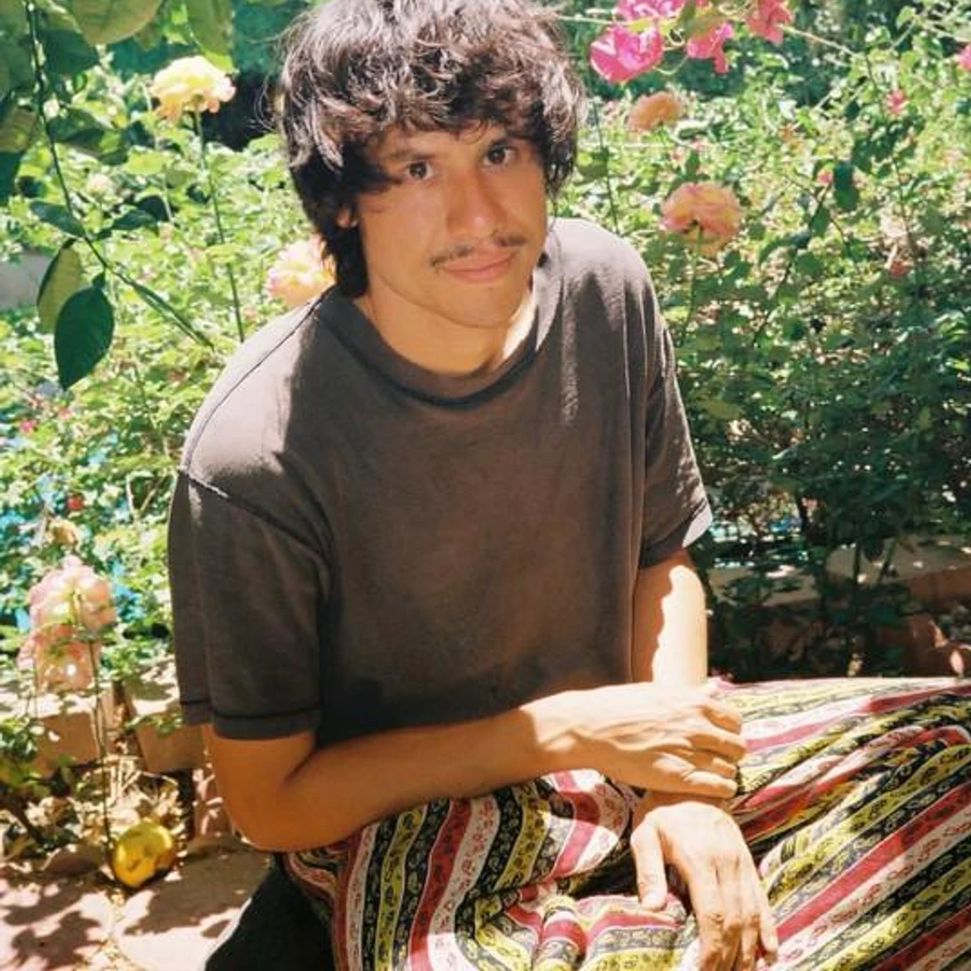 Frank Dukes